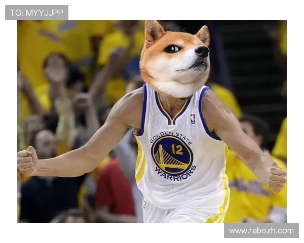 博狗体育平台丰富的体育赛事种类满足不同体育爱好者需求 博狗体育平台丰富的体育赛事种类满足不同体育爱好者需求