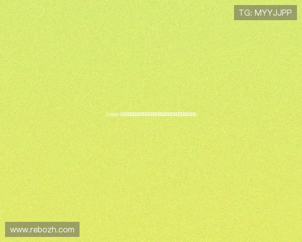 b sports网站登录入口常见问题解答及解决方案，确保玩家顺利登录无障碍