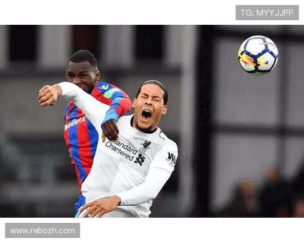 利来体育APP下载安装指南，支持多设备登录确保随时随地畅享体育赛事